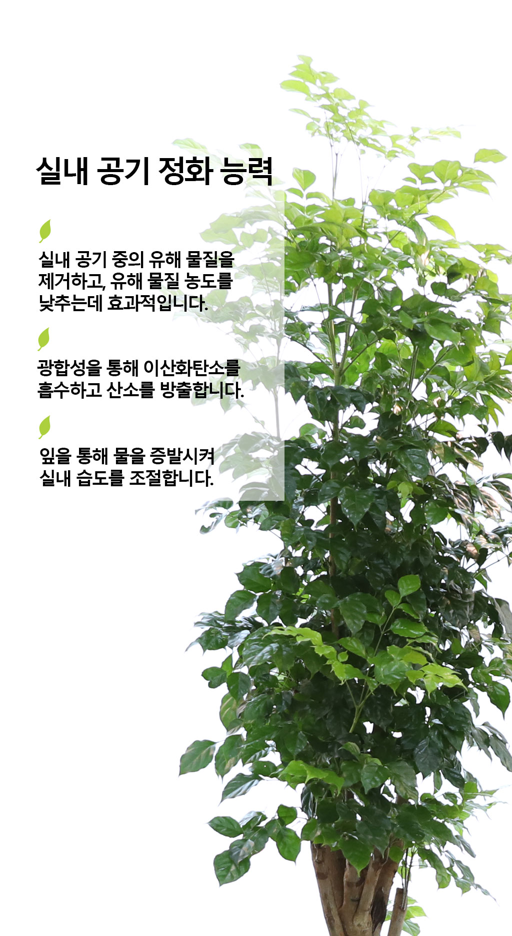 º¯Ä¡¾Ê´Â ¾Æ¸§´Ù¿î »ç¶û - ³ìº¸¼ö(Ư´ë) ²ÉÁý ²É¹è´Þ