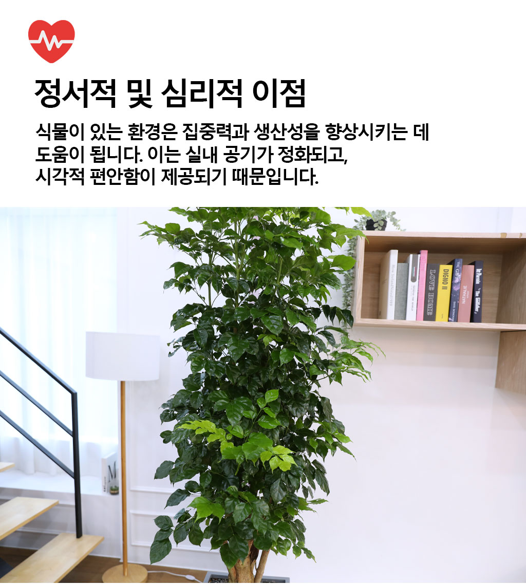 º¯Ä¡¾Ê´Â ¾Æ¸§´Ù¿î »ç¶û - ³ìº¸¼ö(Ư´ë) ²ÉÁý ²É¹è´Þ