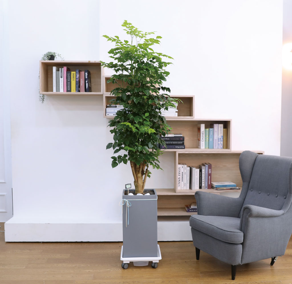 º¯Ä¡¾Ê´Â ¾Æ¸§´Ù¿î »ç¶û - ³ìº¸¼ö(Ư´ë) ²ÉÁý ²É¹è´Þ