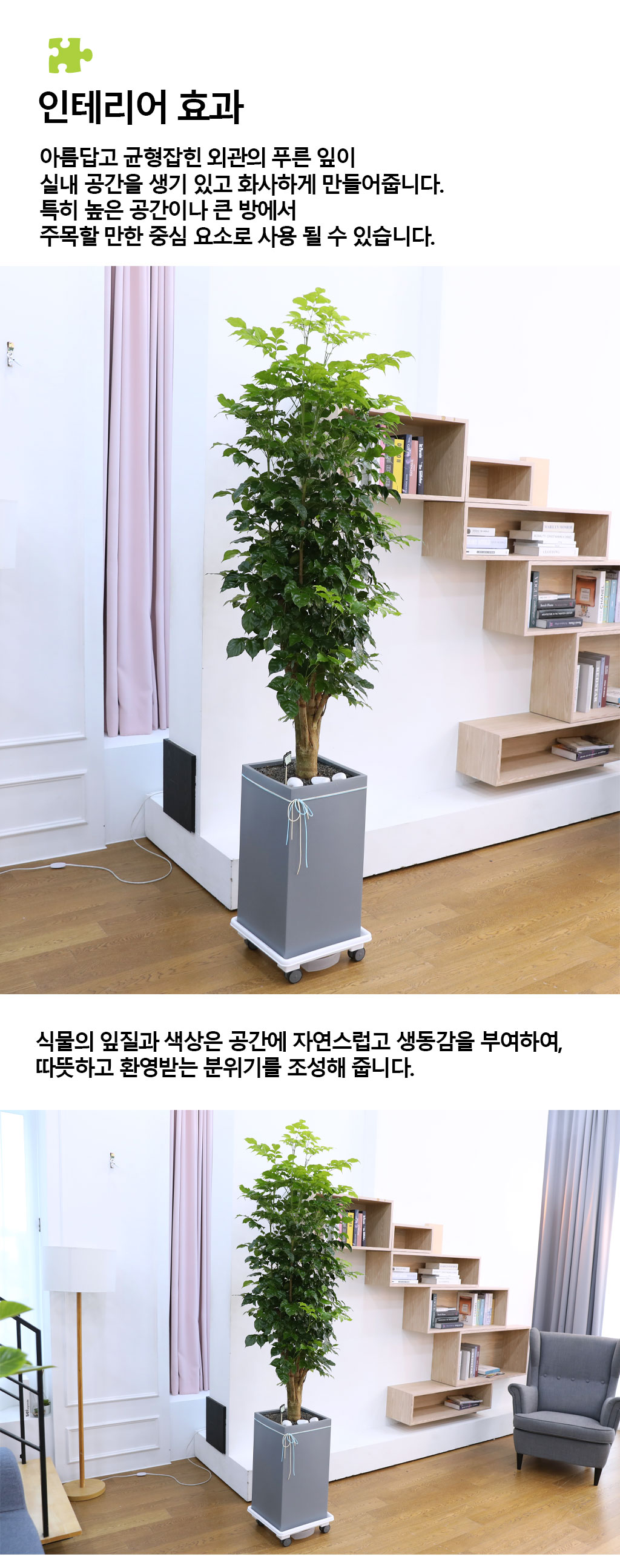 º¯Ä¡¾Ê´Â ¾Æ¸§´Ù¿î »ç¶û - ³ìº¸¼ö(Ư´ë) ²ÉÁý ²É¹è´Þ