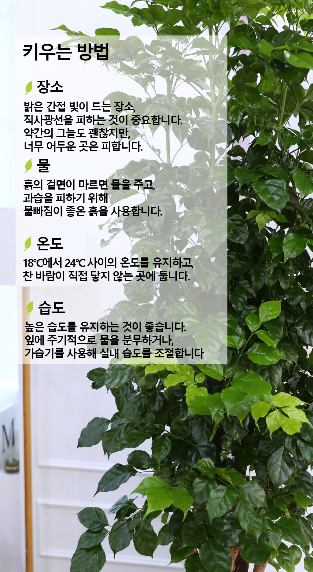 º¯Ä¡¾Ê´Â ¾Æ¸§´Ù¿î »ç¶û - ³ìº¸¼ö(Ư´ë) ²ÉÁý ²É¹è´Þ