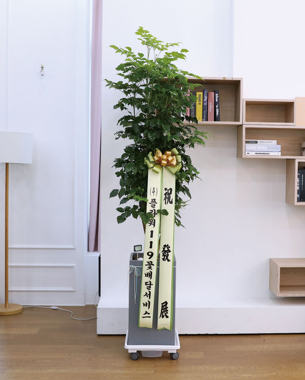 º¯Ä¡¾Ê´Â ¾Æ¸§´Ù¿î »ç¶û - ³ìº¸¼ö(Ư´ë) ²ÉÁý ²É¹è´Þ