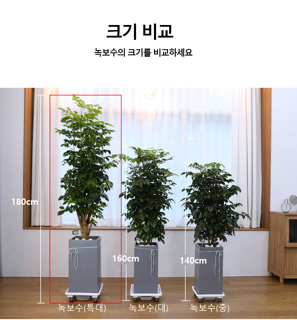 º¯Ä¡¾Ê´Â ¾Æ¸§´Ù¿î »ç¶û - ³ìº¸¼ö(Ư´ë) ²ÉÁý ²É¹è´Þ