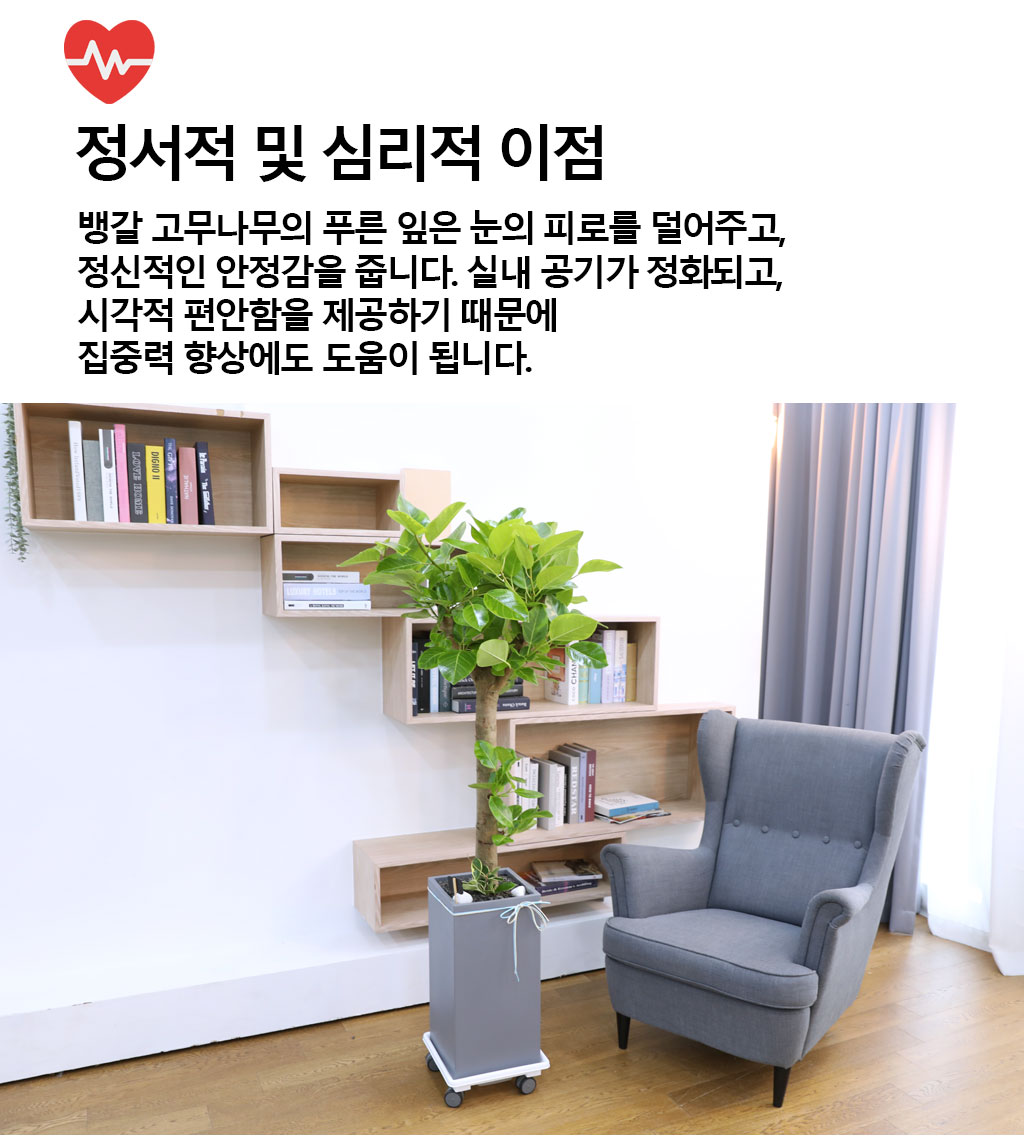 ¿µ¿øÇÑ »ý¸í°ú ¹ø¿µ - ¹ð°¥°í¹«³ª¹«(´ë) ²ÉÁý ²É¹è´Þ