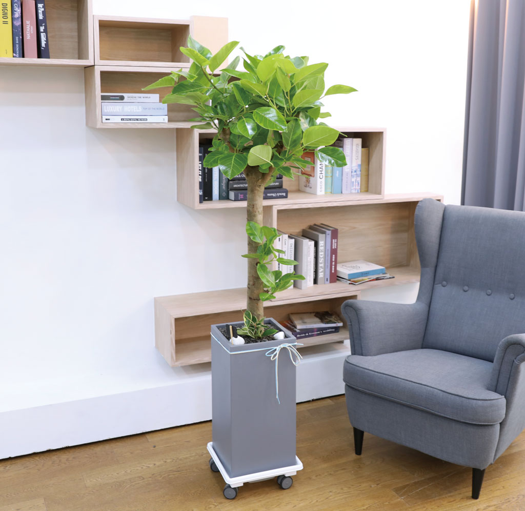 ¿µ¿øÇÑ »ý¸í°ú ¹ø¿µ - ¹ð°¥°í¹«³ª¹«(´ë) ²ÉÁý ²É¹è´Þ