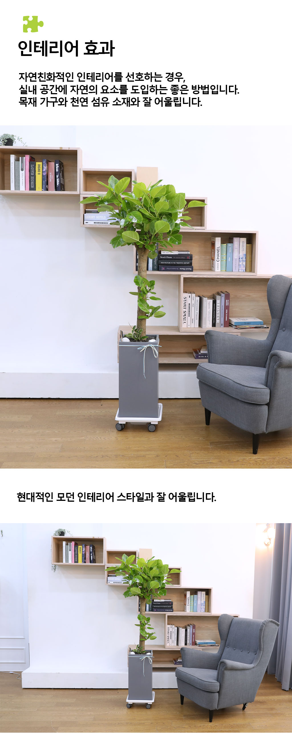 ¿µ¿øÇÑ »ý¸í°ú ¹ø¿µ - ¹ð°¥°í¹«³ª¹«(´ë) ²ÉÁý ²É¹è´Þ