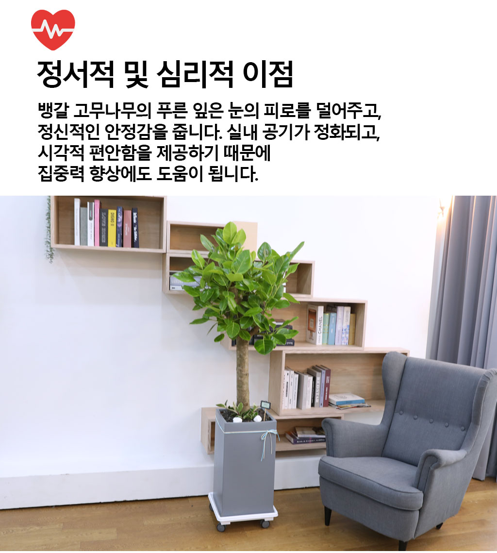 ¿µ¿øÇÑ »ý¸í°ú ¹ø¿µ - ¹ð°¥°í¹«³ª¹«(Ư´ë) ²ÉÁý ²É¹è´Þ