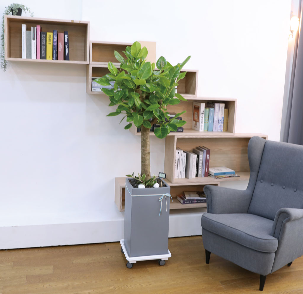 ¿µ¿øÇÑ »ý¸í°ú ¹ø¿µ - ¹ð°¥°í¹«³ª¹«(Ư´ë) ²ÉÁý ²É¹è´Þ