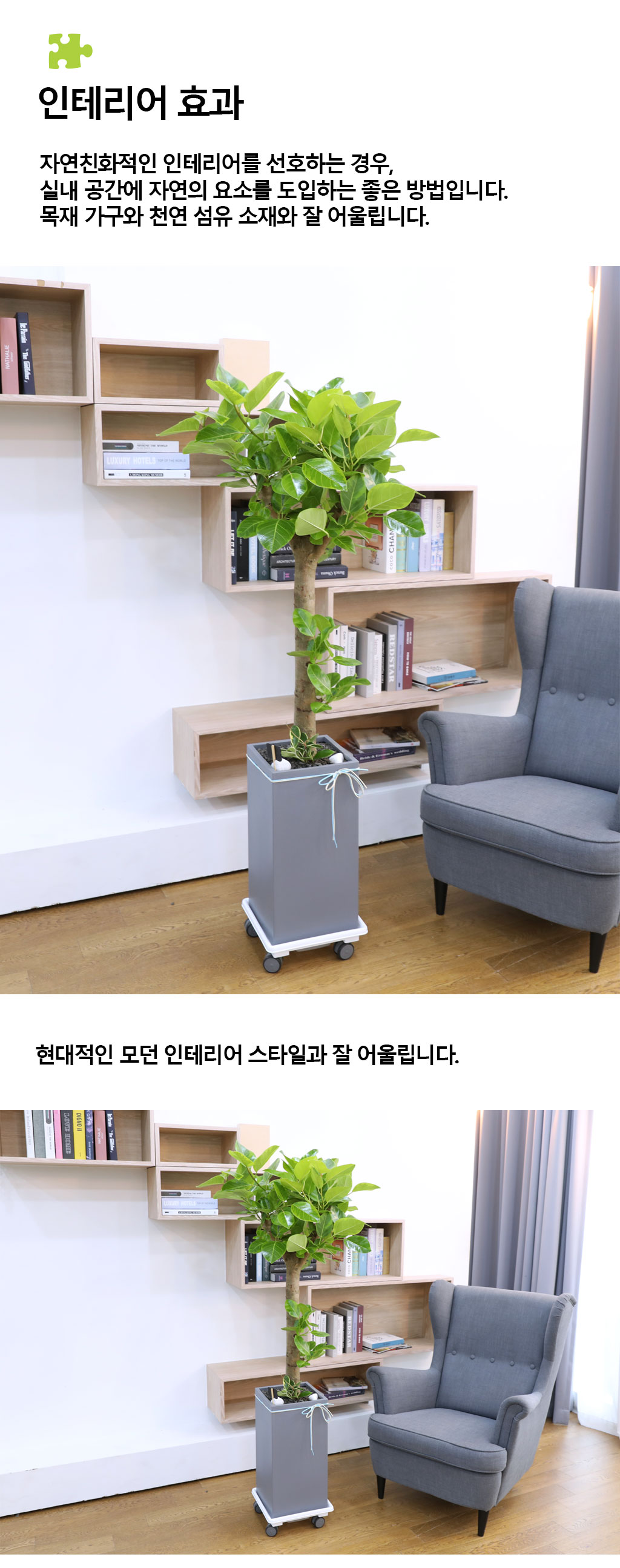 ¿µ¿øÇÑ »ý¸í°ú ¹ø¿µ - ¹ð°¥°í¹«³ª¹«(Ư´ë) ²ÉÁý ²É¹è´Þ