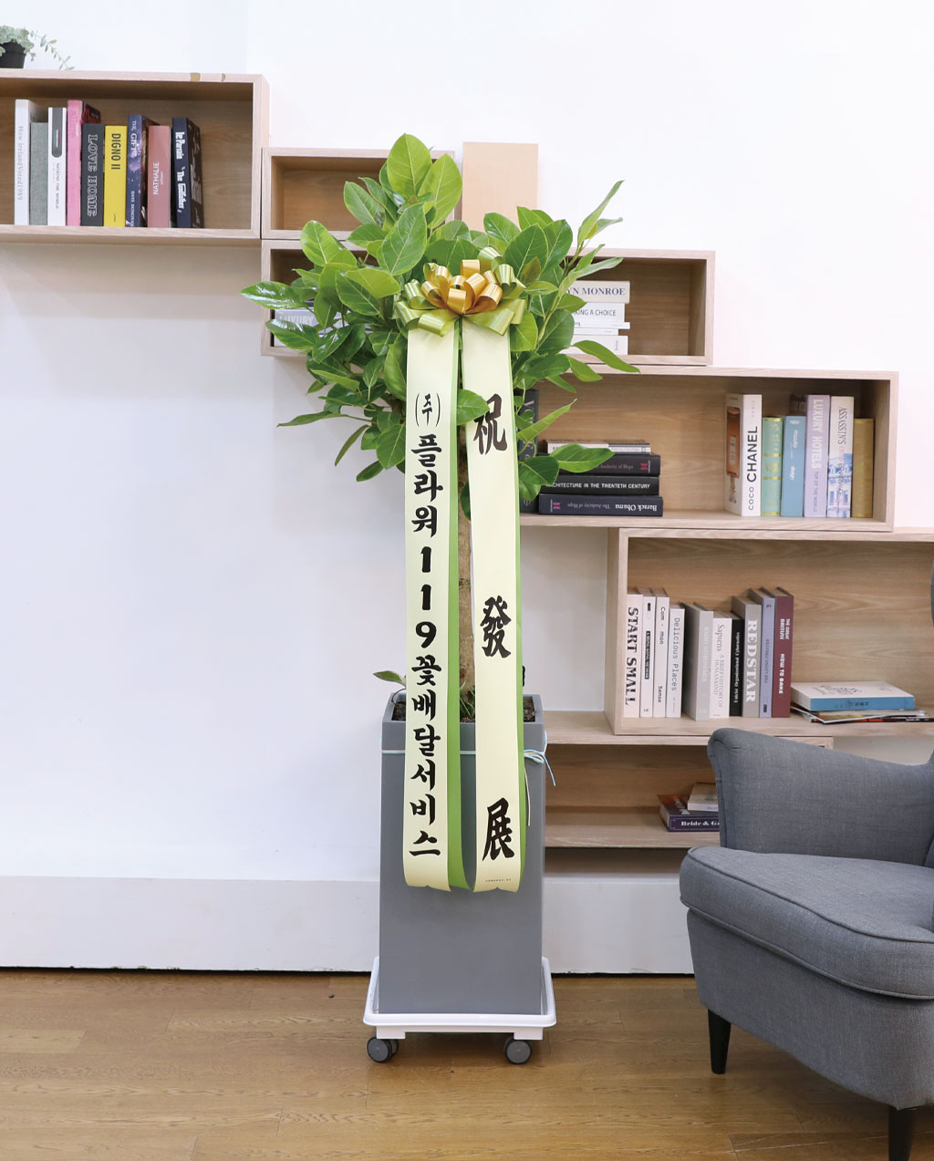 ¿µ¿øÇÑ »ý¸í°ú ¹ø¿µ - ¹ð°¥°í¹«³ª¹«(Ư´ë) ²ÉÁý ²É¹è´Þ