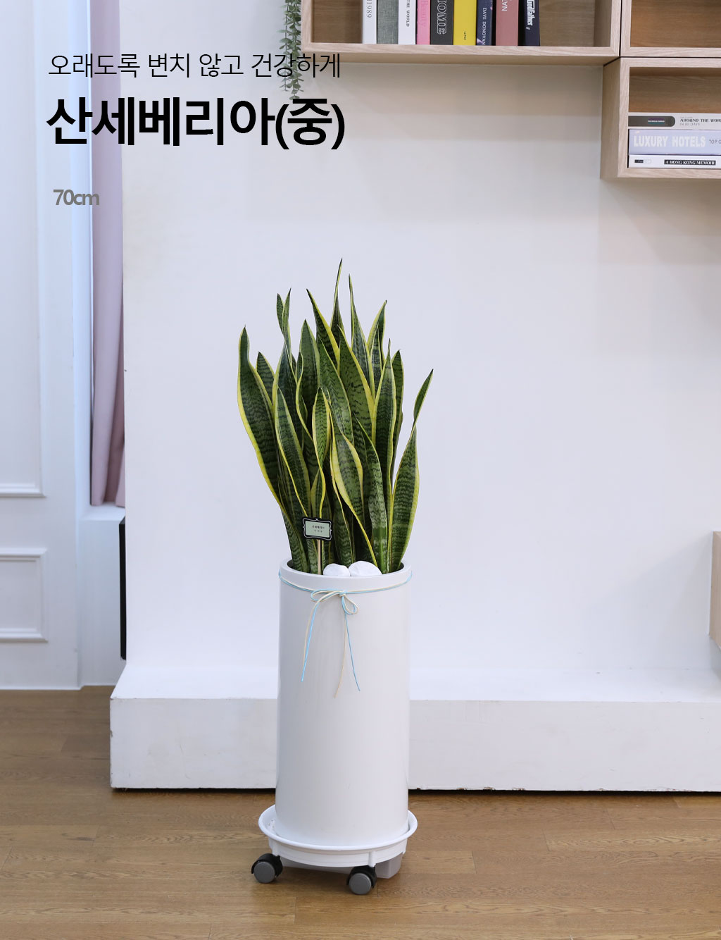  ġ ʰ ǰϰ - 꼼()  ɹ