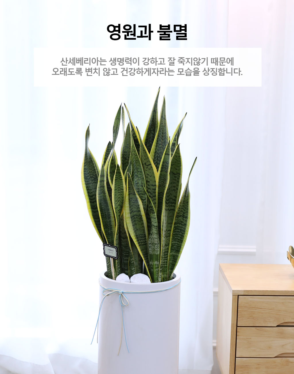  ġ ʰ ǰϰ - 꼼()  ɹ