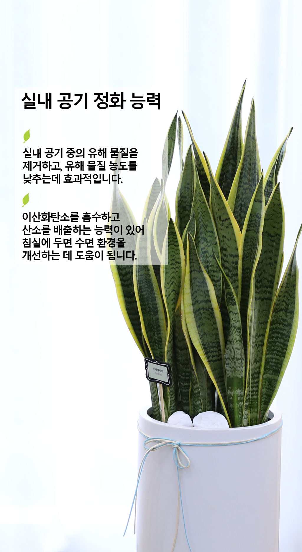  ġ ʰ ǰϰ - 꼼()  ɹ