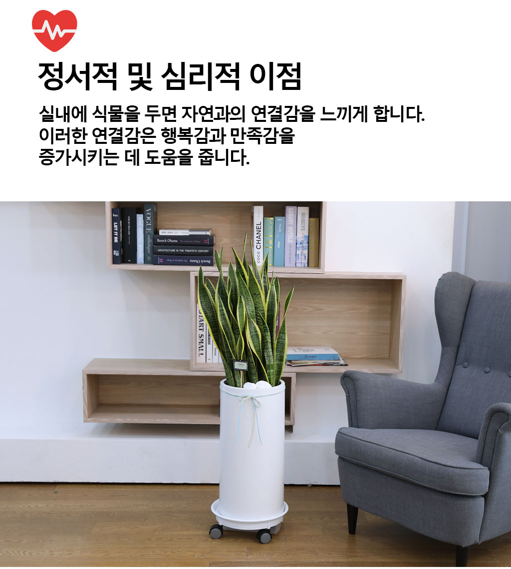  ġ ʰ ǰϰ - 꼼()  ɹ