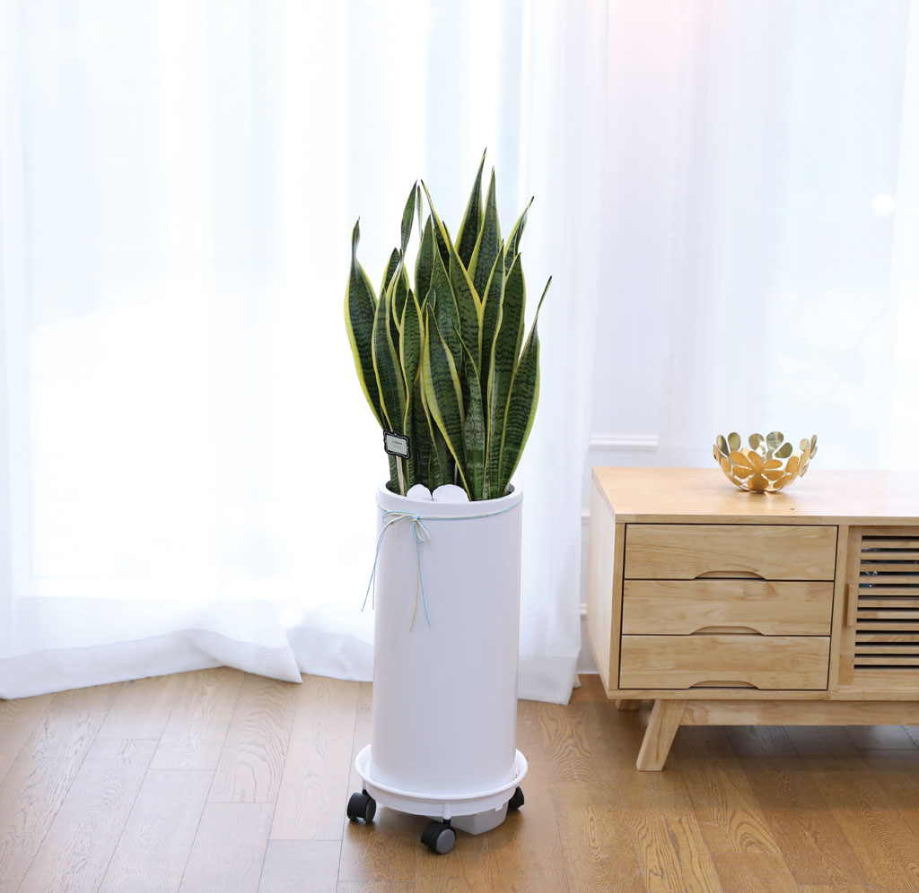  ġ ʰ ǰϰ - 꼼()  ɹ