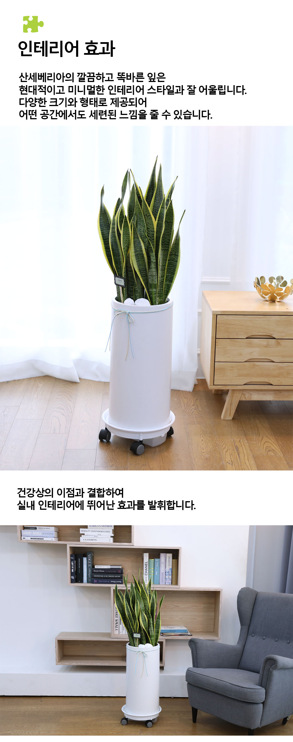  ġ ʰ ǰϰ - 꼼()  ɹ