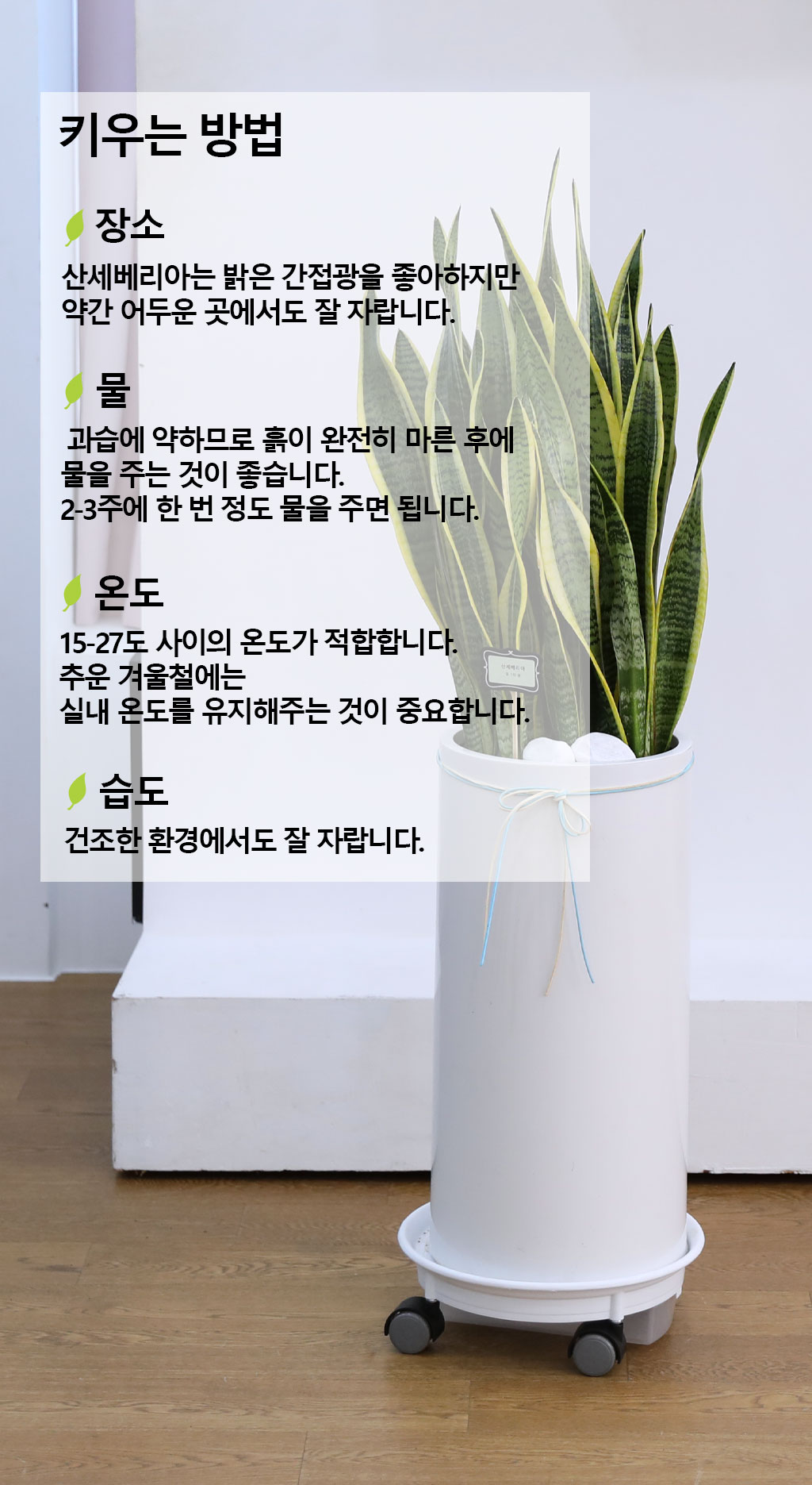  ġ ʰ ǰϰ - 꼼()  ɹ