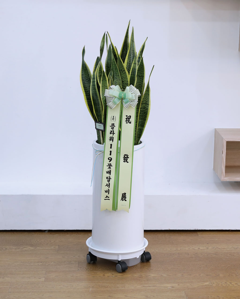  ġ ʰ ǰϰ - 꼼()  ɹ