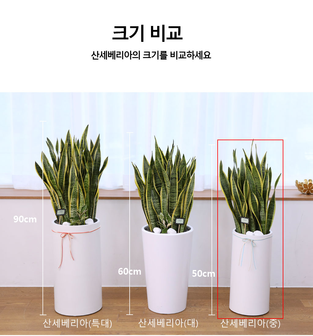  ġ ʰ ǰϰ - 꼼()  ɹ