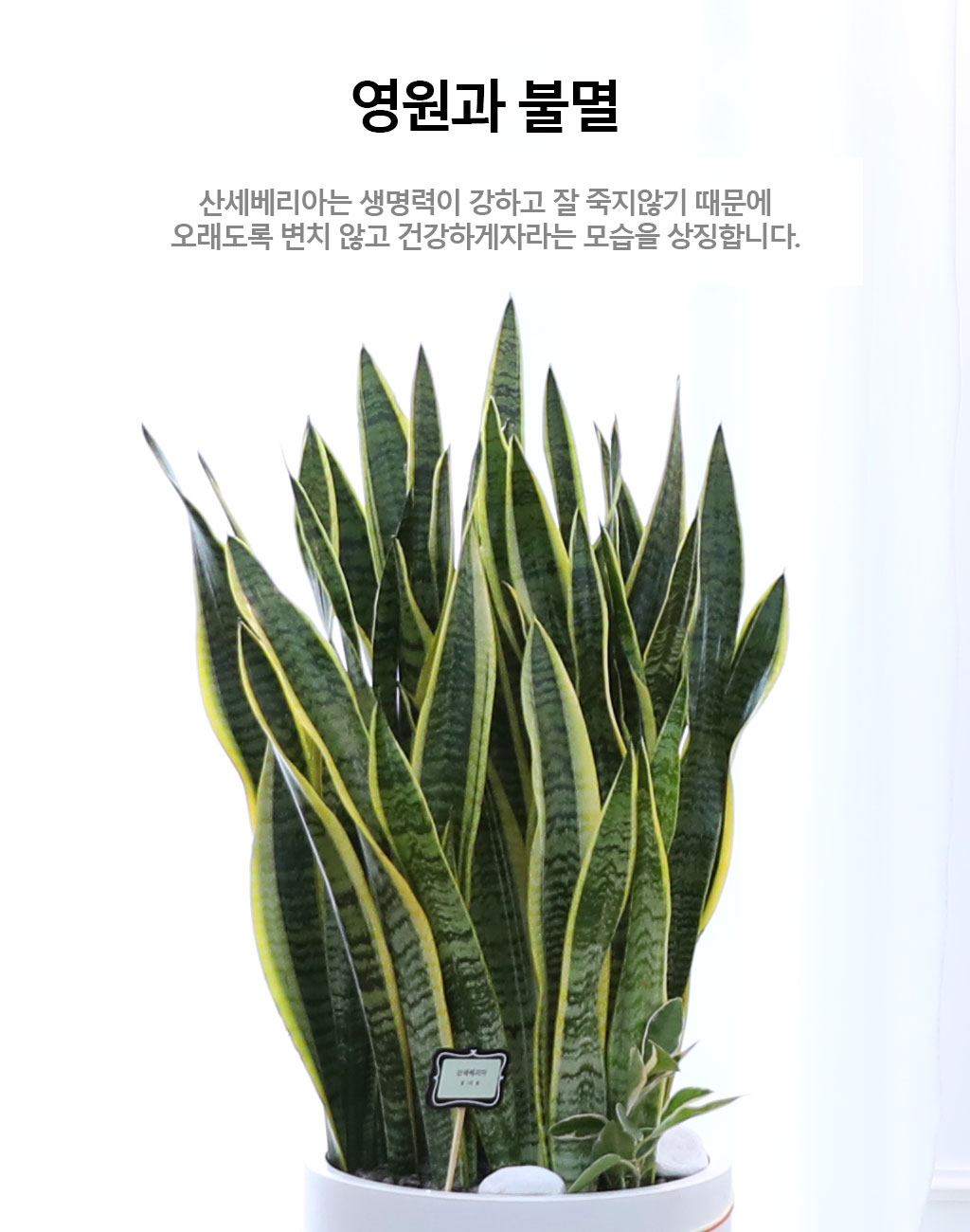  ġ ʰ ǰϰ - 꼼(Ư)  ɹ