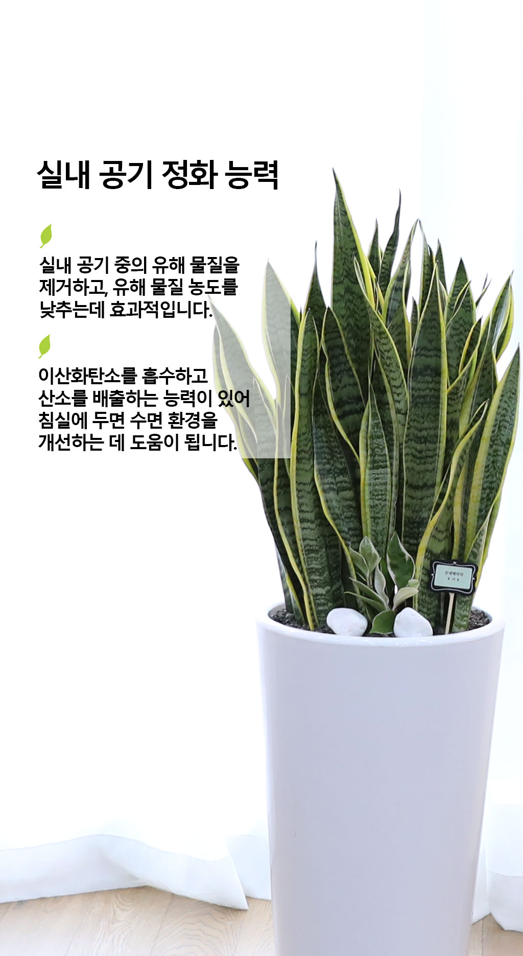  ġ ʰ ǰϰ - 꼼(Ư)  ɹ