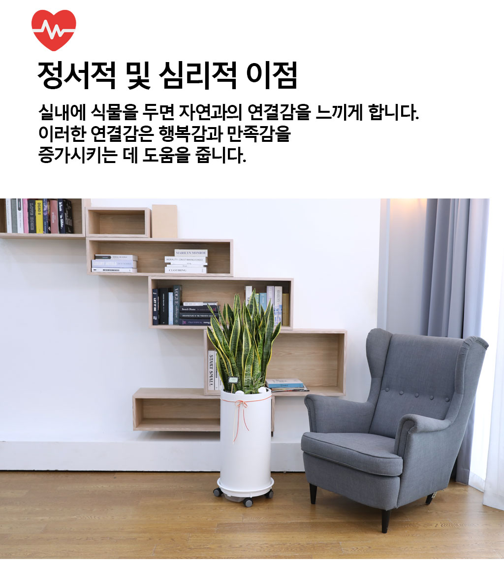  ġ ʰ ǰϰ - 꼼(Ư)  ɹ