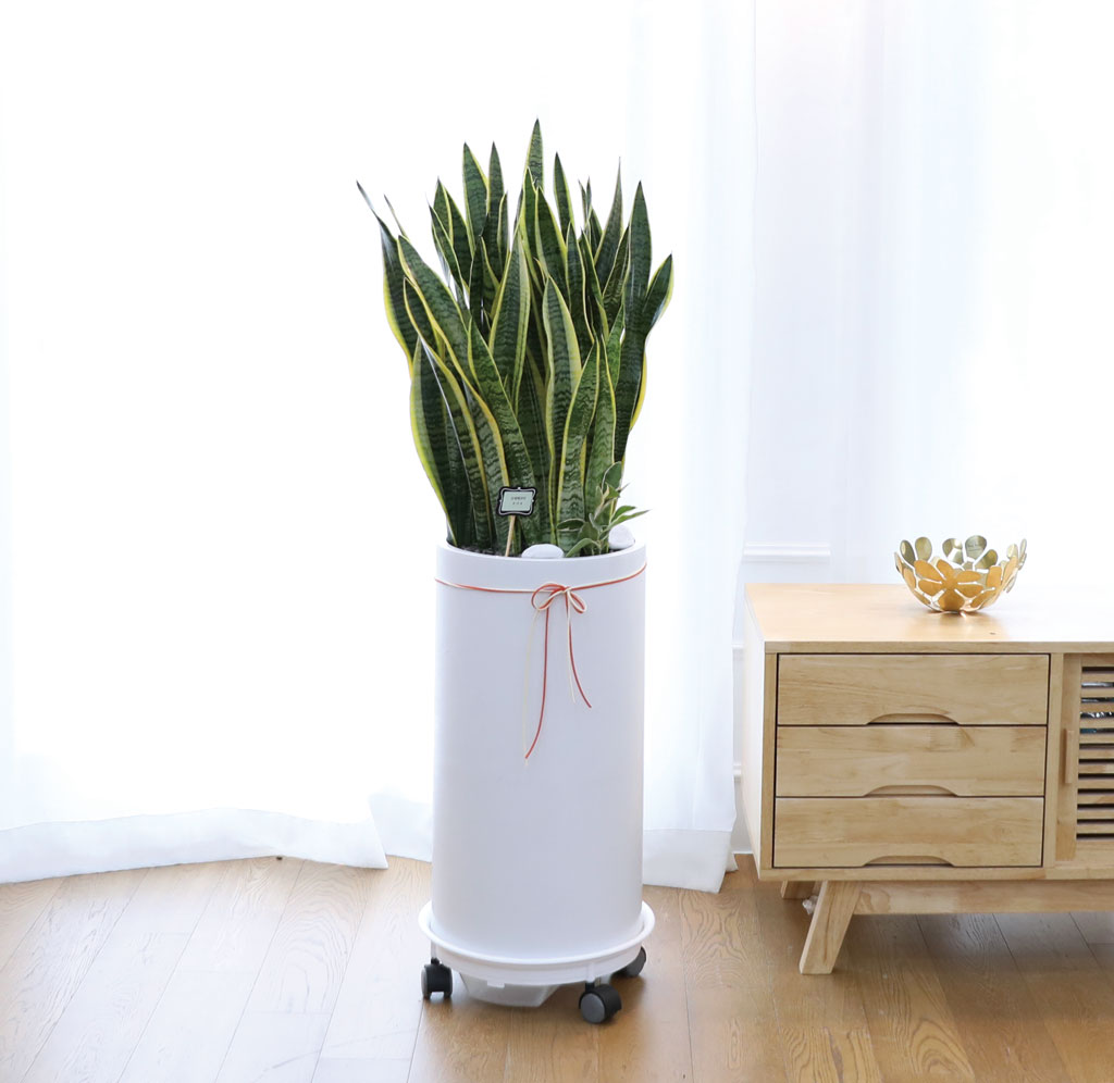  ġ ʰ ǰϰ - 꼼(Ư)  ɹ