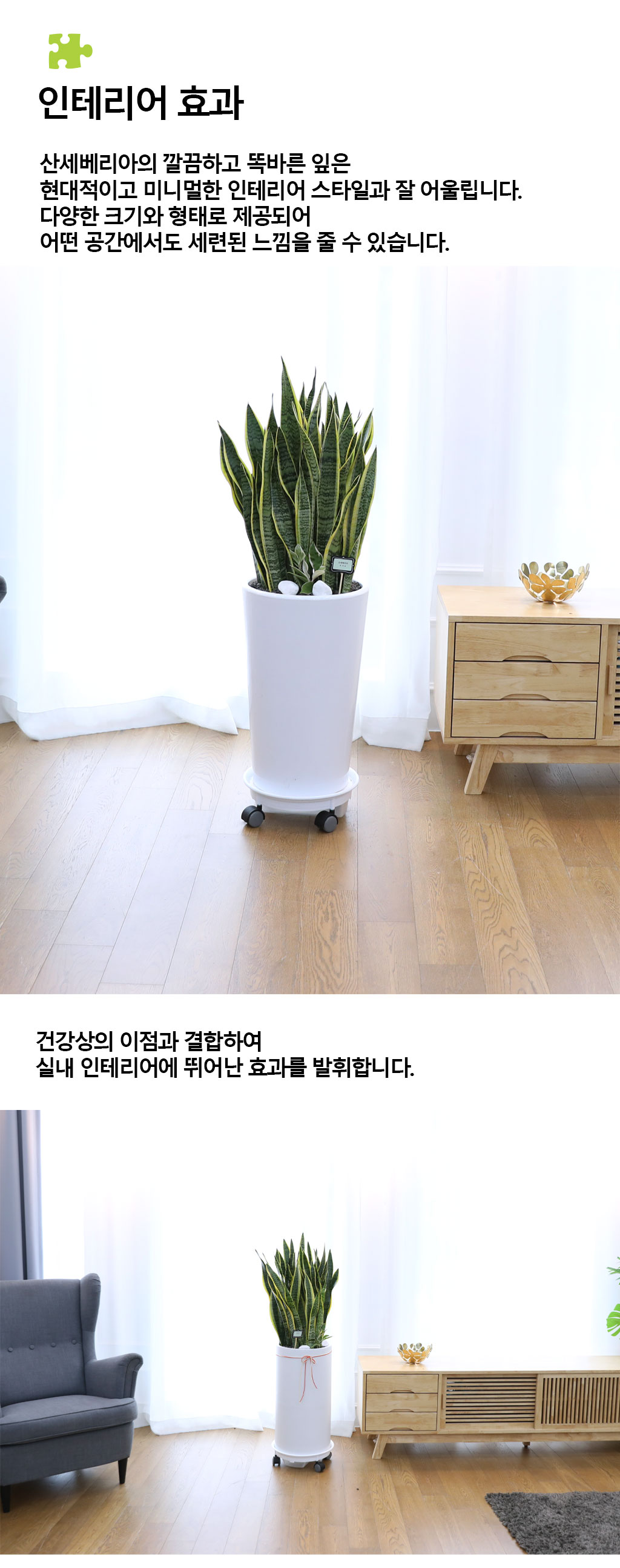  ġ ʰ ǰϰ - 꼼(Ư)  ɹ