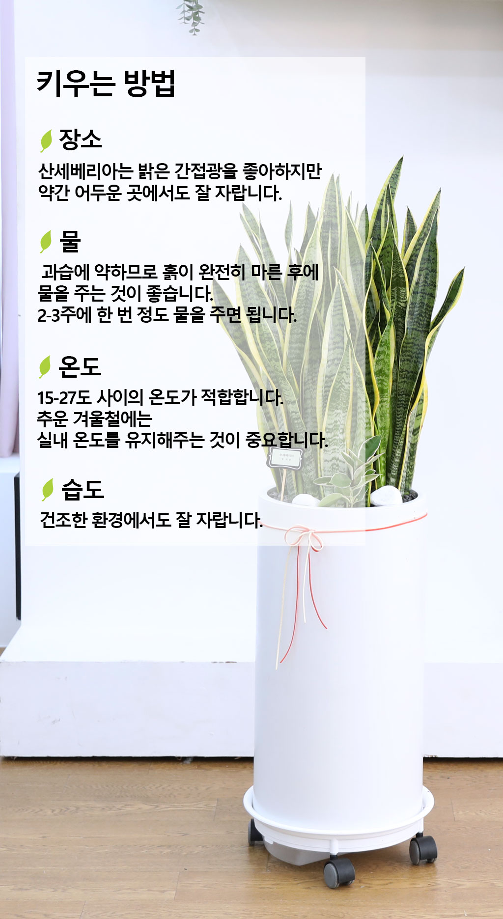  ġ ʰ ǰϰ - 꼼(Ư)  ɹ