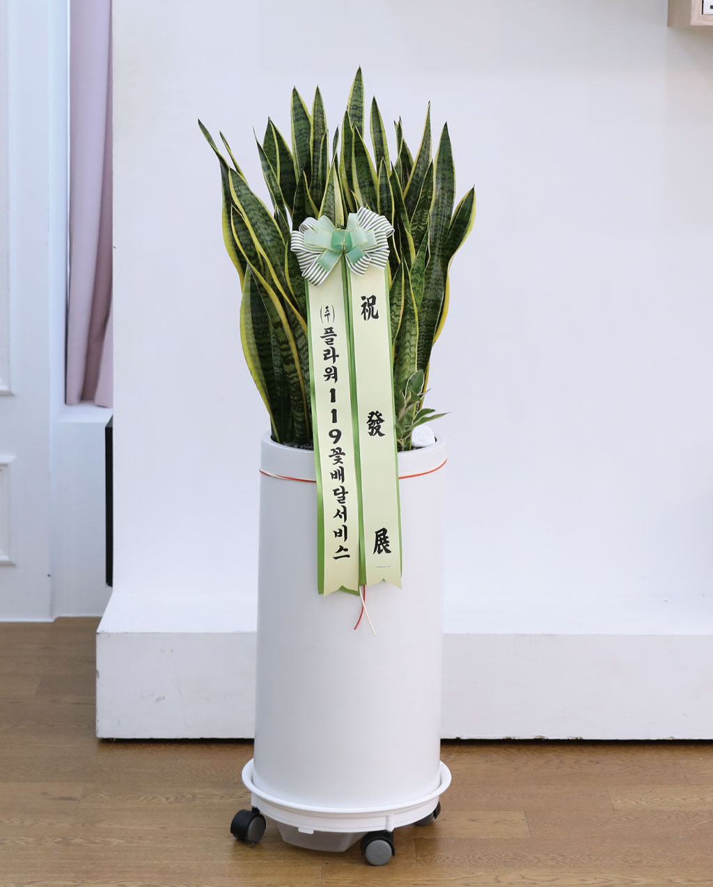  ġ ʰ ǰϰ - 꼼(Ư)  ɹ