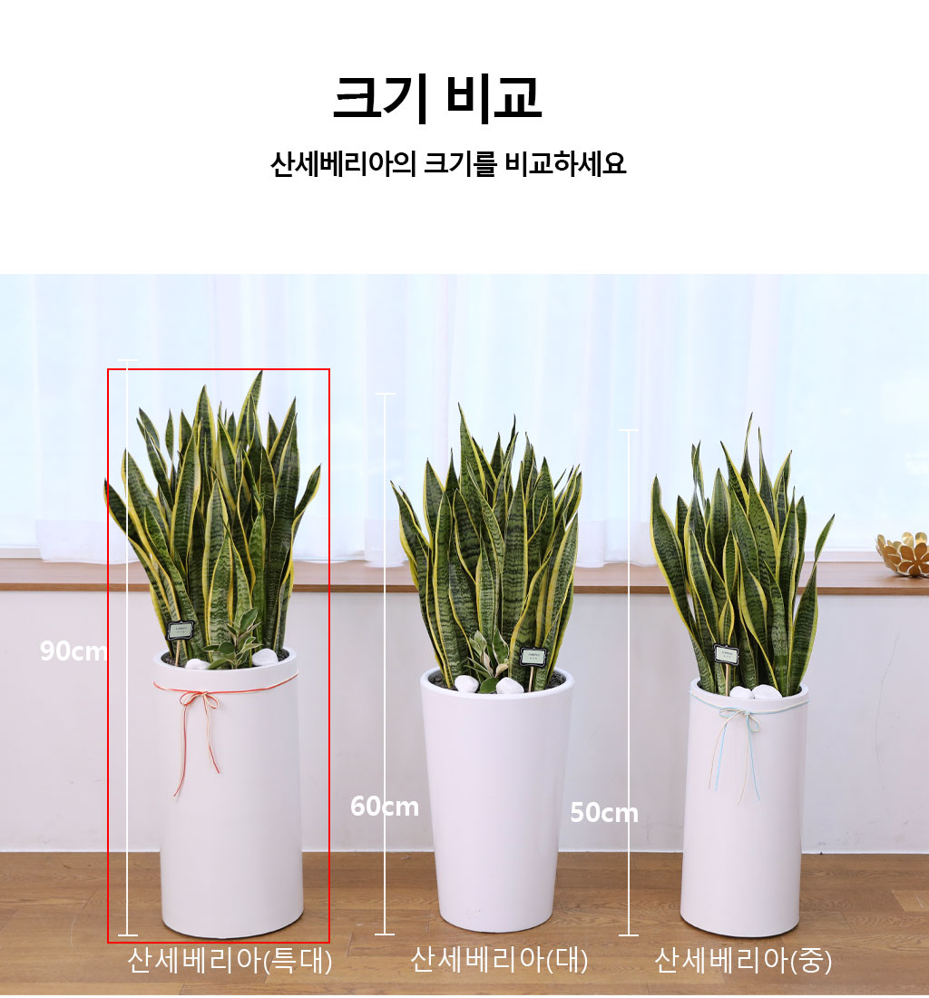  ġ ʰ ǰϰ - 꼼(Ư)  ɹ