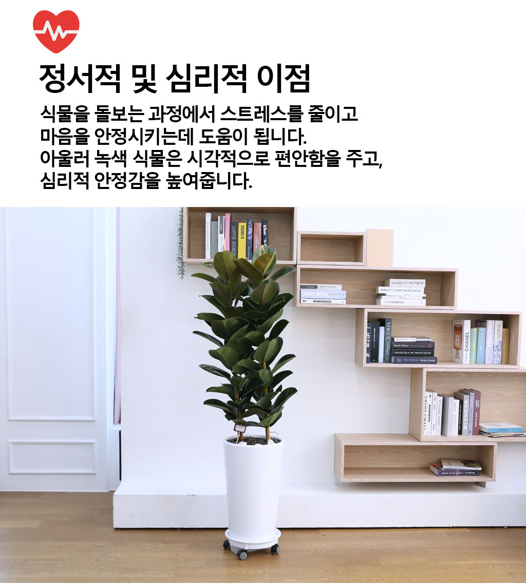 ¿µ¿øÇÑ Çູ°ú dz¿ä - °í¹«³ª¹«(´ë) ²ÉÁý ²É¹è´Þ