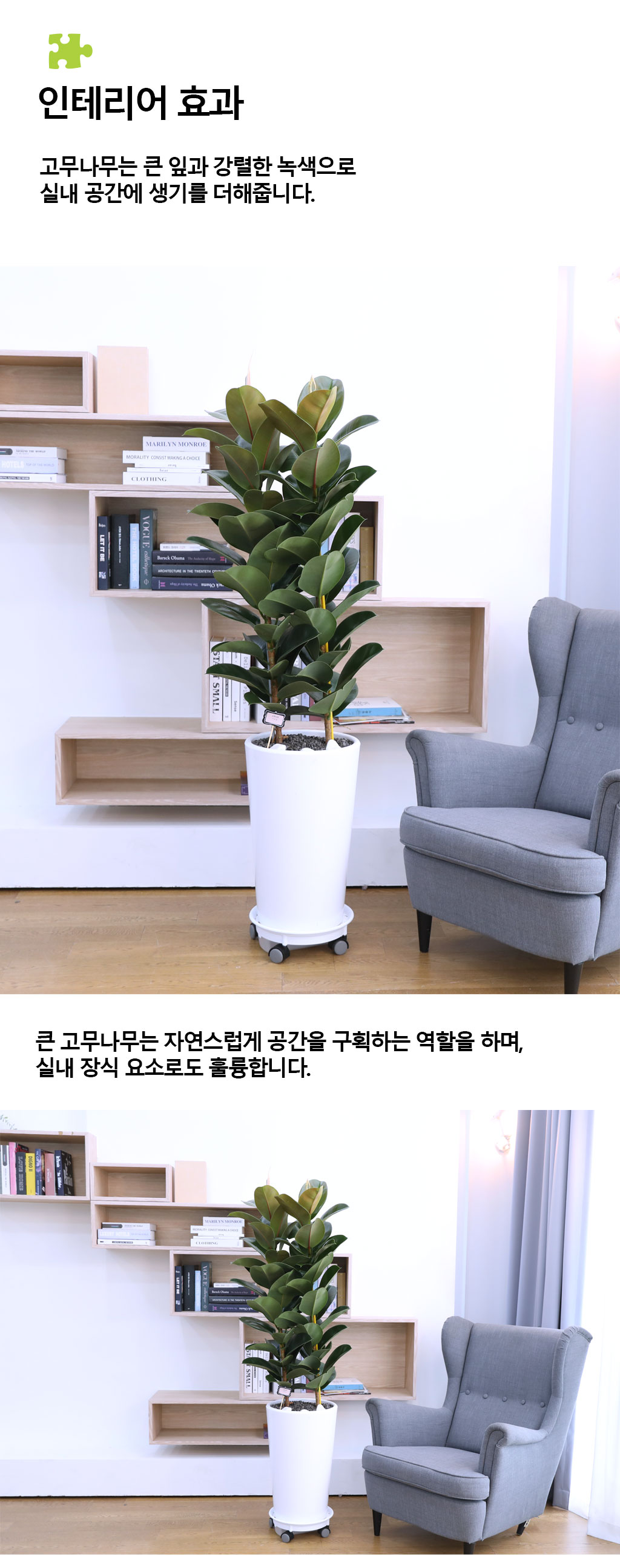 ¿µ¿øÇÑ Çູ°ú dz¿ä - °í¹«³ª¹«(´ë) ²ÉÁý ²É¹è´Þ