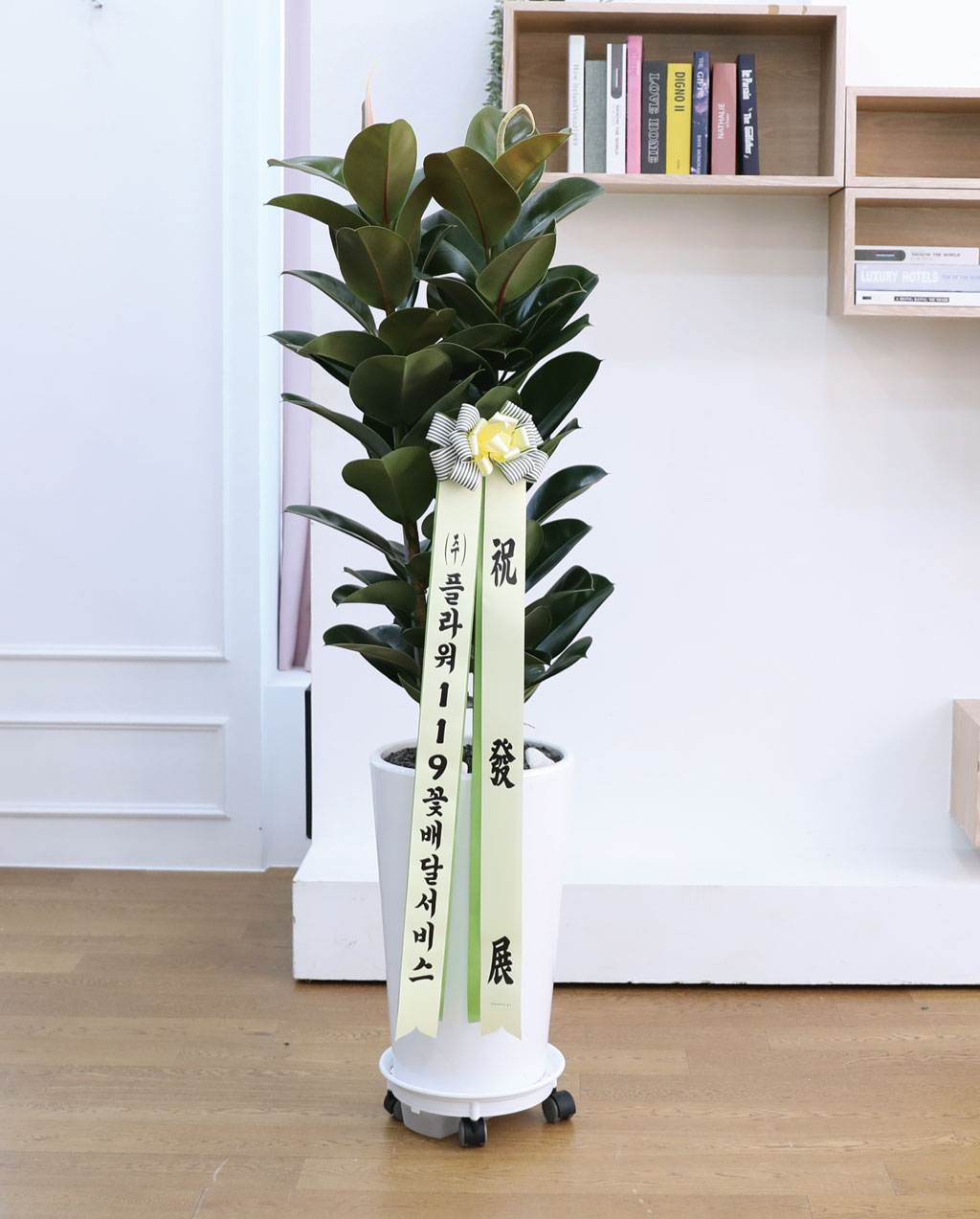 ¿µ¿øÇÑ Çູ°ú dz¿ä - °í¹«³ª¹«(´ë) ²ÉÁý ²É¹è´Þ