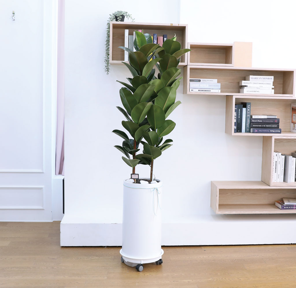 ¿µ¿øÇÑ Çູ°ú dz¿ä - °í¹«³ª¹«(Ư´ë)