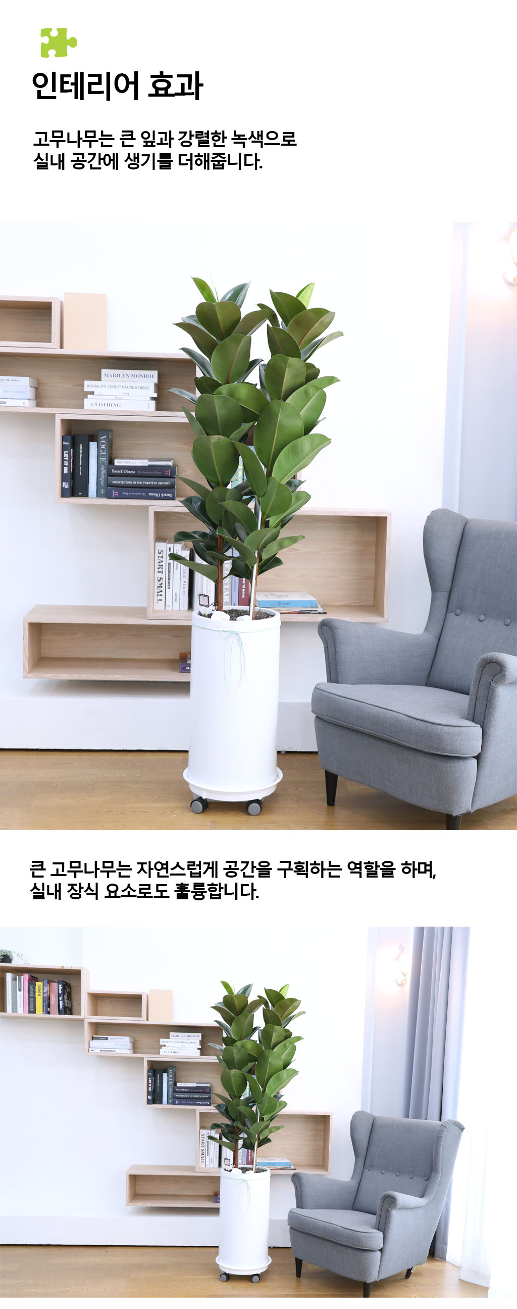 ¿µ¿øÇÑ Çູ°ú dz¿ä - °í¹«³ª¹«(Ư´ë)