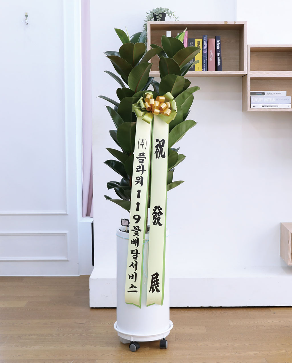 ¿µ¿øÇÑ Çູ°ú dz¿ä - °í¹«³ª¹«(Ư´ë)