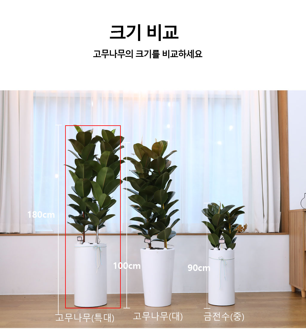 ¿µ¿øÇÑ Çູ°ú dz¿ä - °í¹«³ª¹«(Ư´ë)