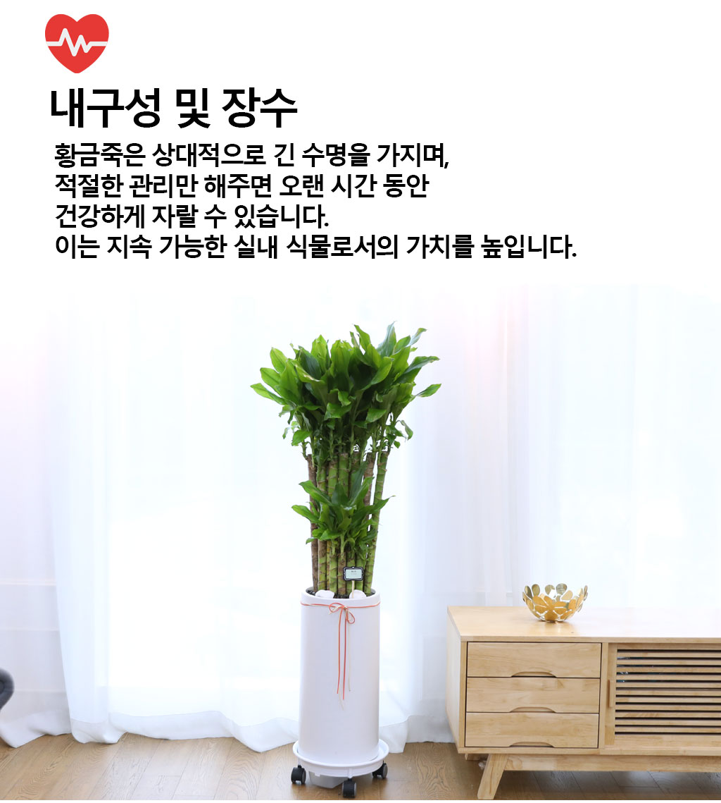 Çà¿î°ú ¹ø¿µÀÇ ½Ä¹° - Ȳ±ÝÁ×(Áß) ²ÉÁý ²É¹è´Þ