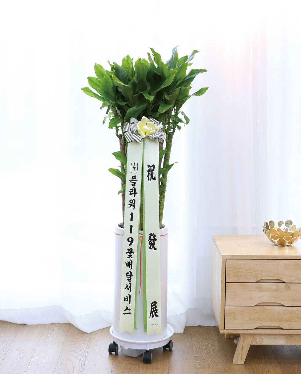 Çà¿î°ú ¹ø¿µÀÇ ½Ä¹° - Ȳ±ÝÁ×(Áß) ²ÉÁý ²É¹è´Þ