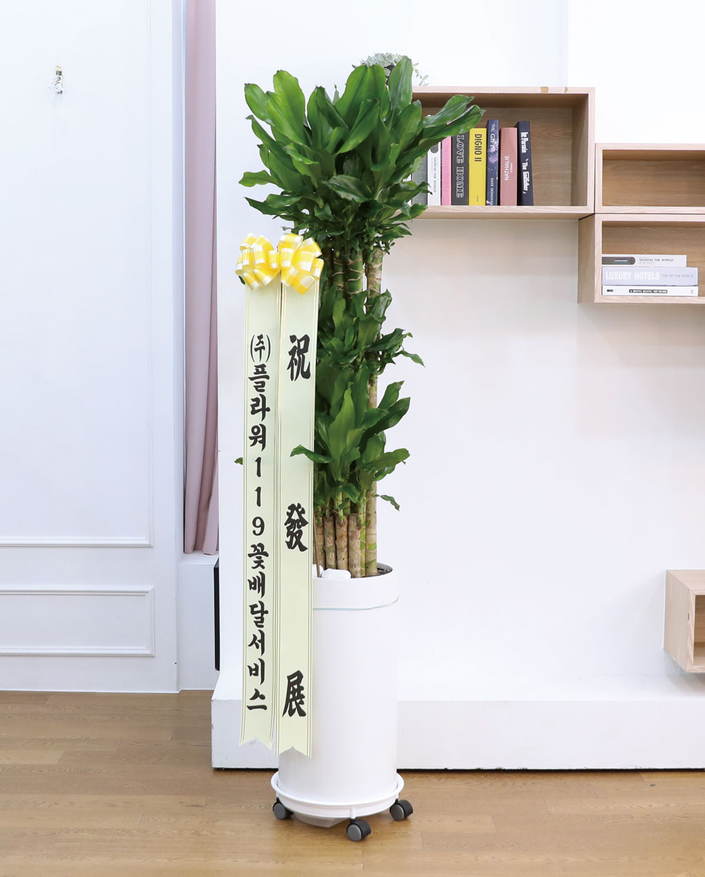 Çà¿î°ú ¹ø¿µÀÇ ½Ä¹° - Ȳ±ÝÁ×(Ư´ë) ²ÉÁý ²É¹è´Þ