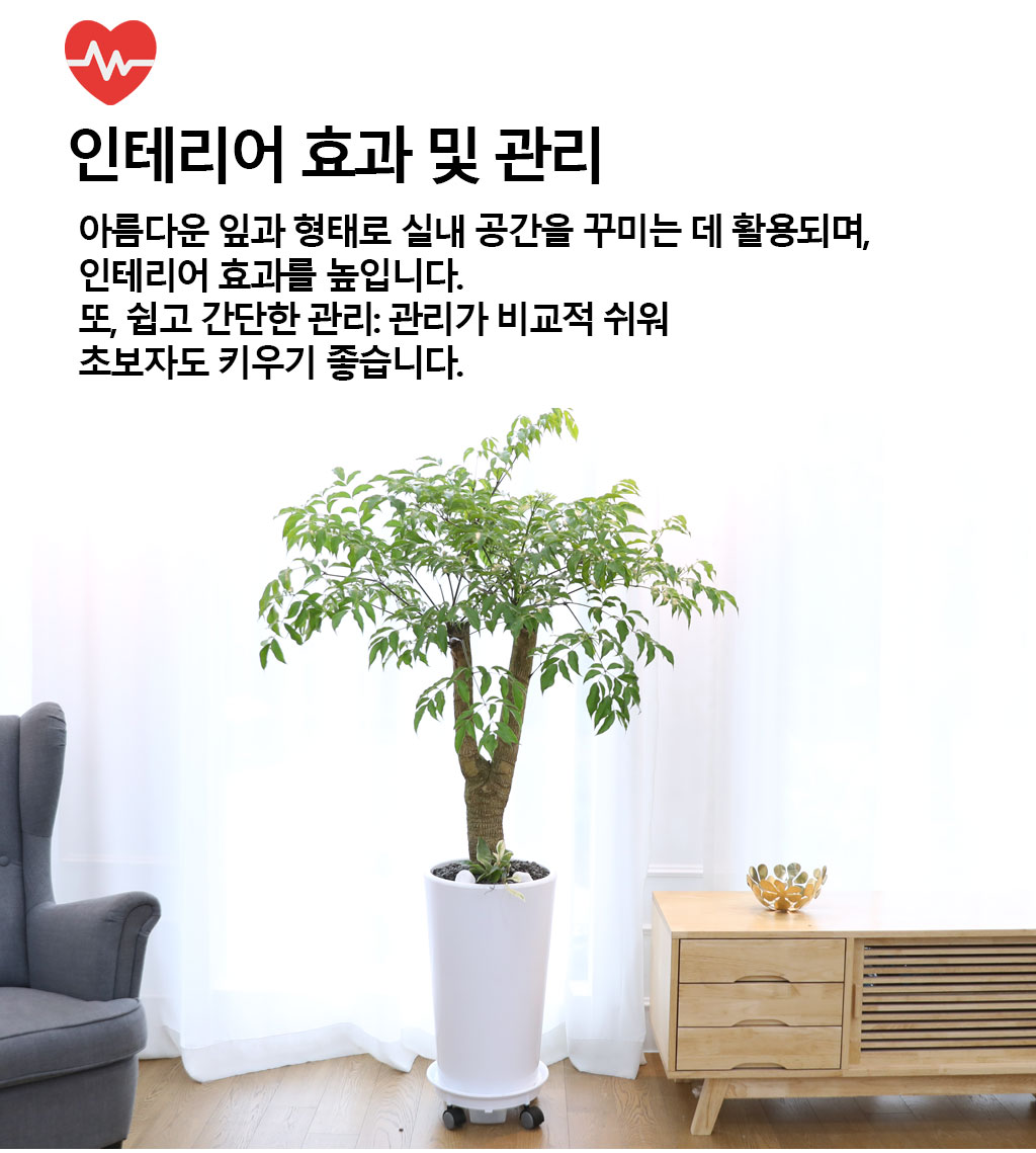 Çູ°ú ±àÁ¤ÀûÀÎ ±â¿îÀÇ ½Ä¹° - ÇØÇÇÆ®¸®(Áß) ²ÉÁý ²É¹è´Þ