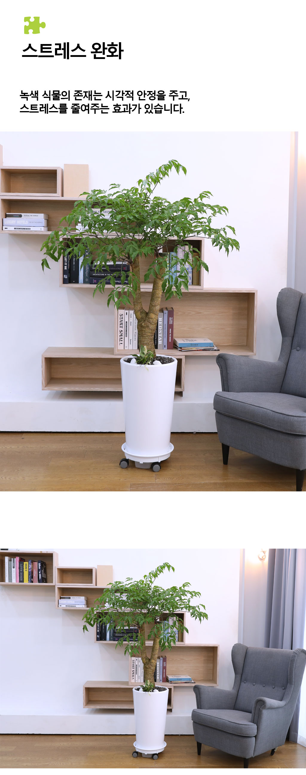 Çູ°ú ±àÁ¤ÀûÀÎ ±â¿îÀÇ ½Ä¹° - ÇØÇÇÆ®¸®(Áß) ²ÉÁý ²É¹è´Þ