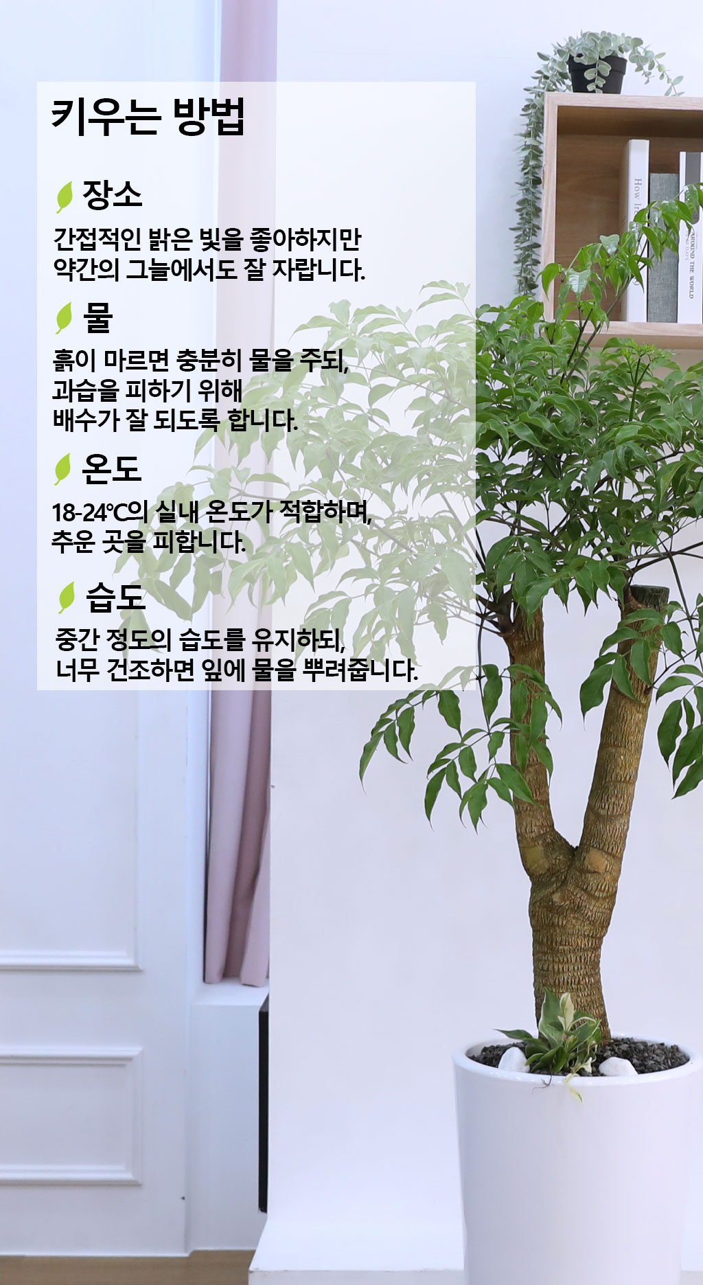 Çູ°ú ±àÁ¤ÀûÀÎ ±â¿îÀÇ ½Ä¹° - ÇØÇÇÆ®¸®(Áß) ²ÉÁý ²É¹è´Þ