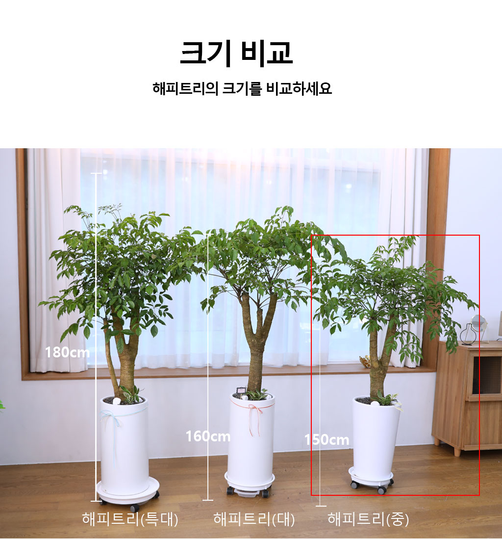 Çູ°ú ±àÁ¤ÀûÀÎ ±â¿îÀÇ ½Ä¹° - ÇØÇÇÆ®¸®(Áß) ²ÉÁý ²É¹è´Þ