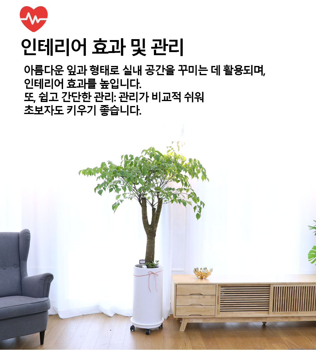 Çູ°ú ±àÁ¤ÀûÀÎ ±â¿îÀÇ ½Ä¹° - ÇØÇÇÆ®¸®(´ë)