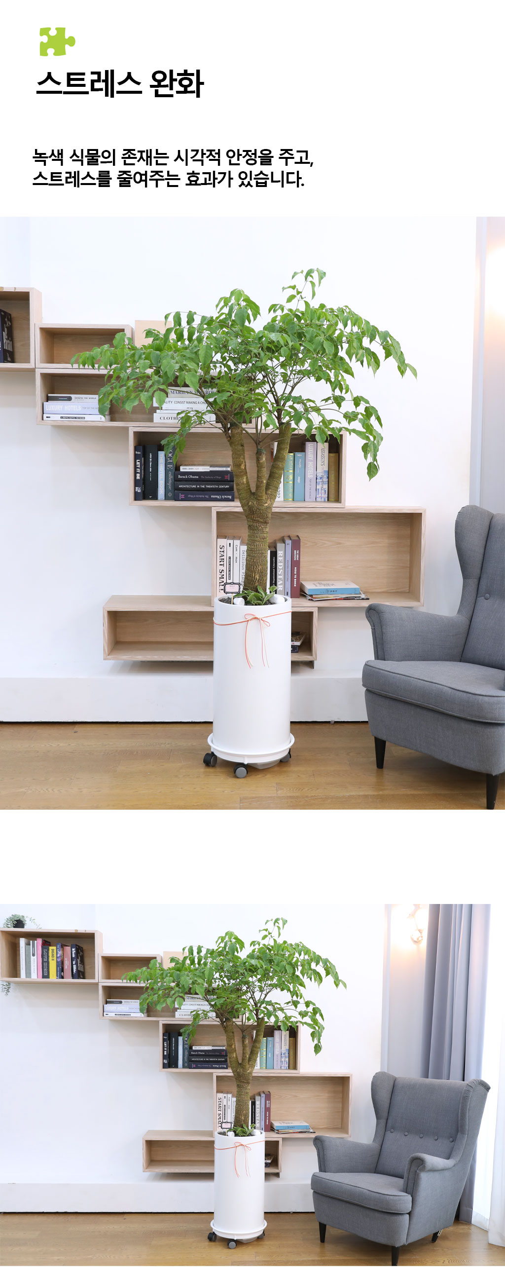 Çູ°ú ±àÁ¤ÀûÀÎ ±â¿îÀÇ ½Ä¹° - ÇØÇÇÆ®¸®(´ë)