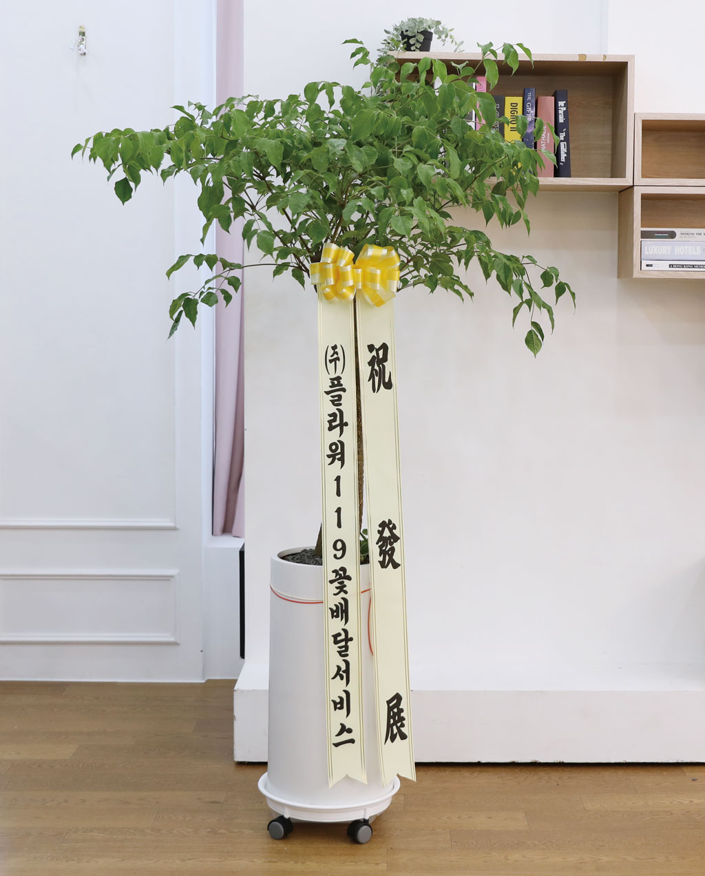 Çູ°ú ±àÁ¤ÀûÀÎ ±â¿îÀÇ ½Ä¹° - ÇØÇÇÆ®¸®(´ë)