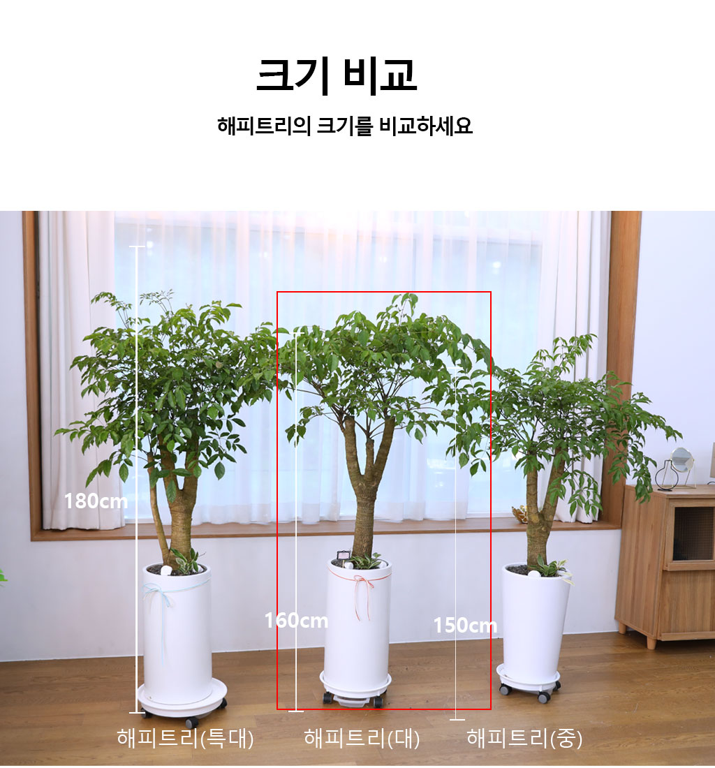 Çູ°ú ±àÁ¤ÀûÀÎ ±â¿îÀÇ ½Ä¹° - ÇØÇÇÆ®¸®(´ë)