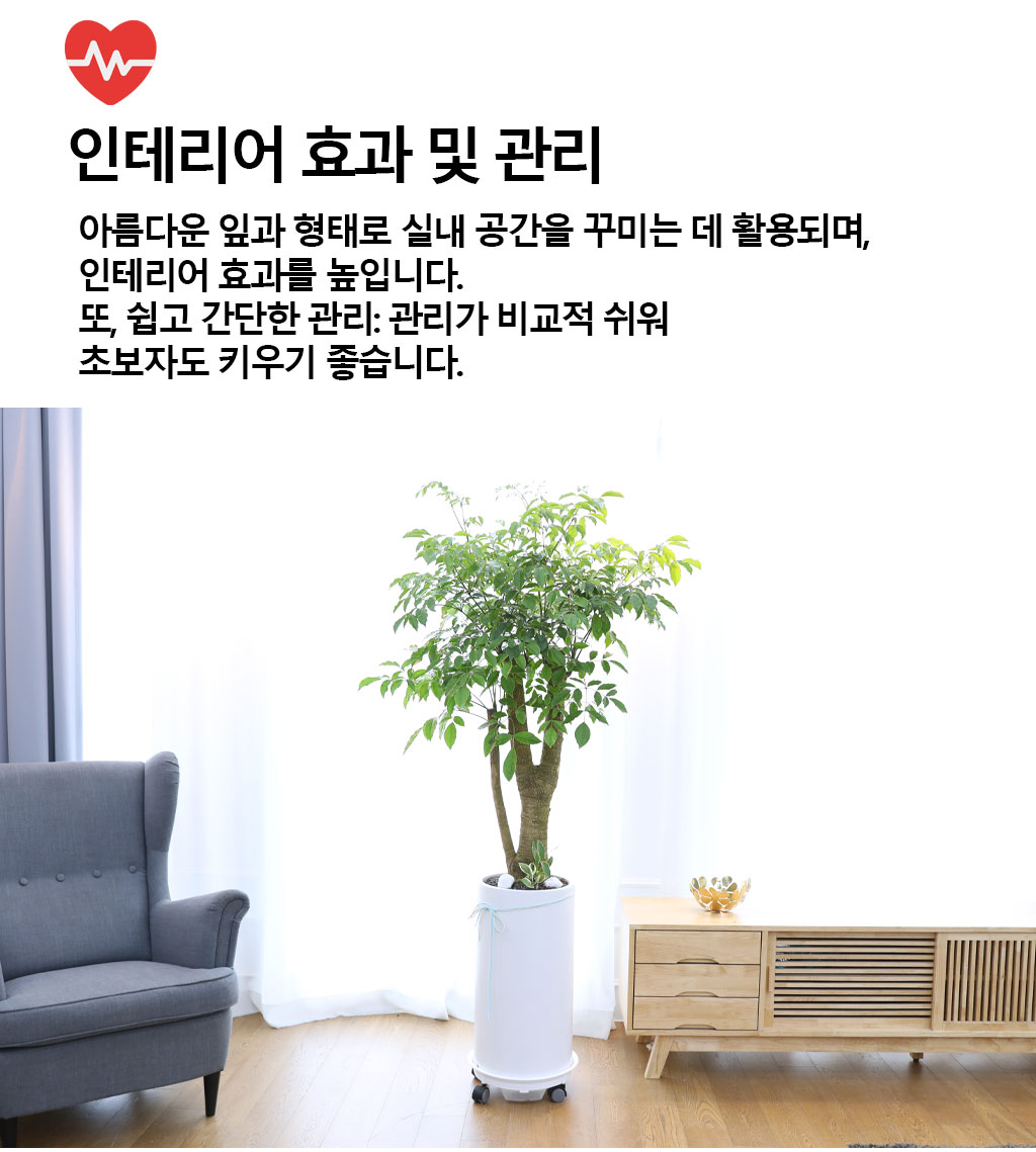 Çູ°ú ±àÁ¤ÀûÀÎ ±â¿îÀÇ ½Ä¹° - ÇØÇÇÆ®¸®(Ư´ë) ²ÉÁý ²É¹è´Þ